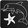 Delphin
